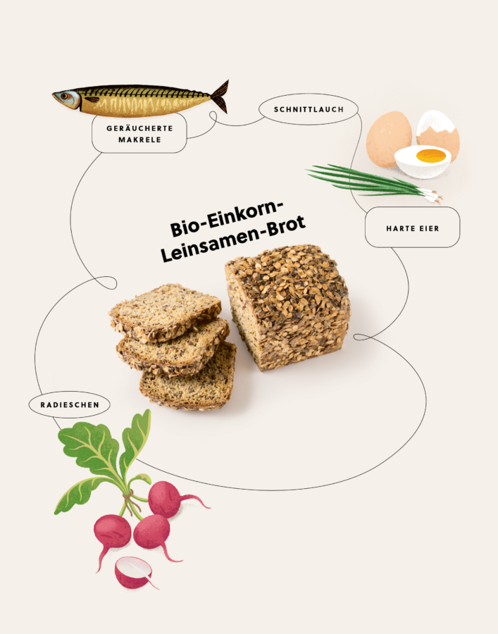 Ein Diagramm zeigt die Zutaten, die einen Laib und Scheiben von Bio-Einkorn-Leinsamenbrot umgeben: geräucherte Makrele, Schnittlauch, hartgekochte Eier und Radieschen, die jeweils mit Verbindungslinien beschriftet sind.