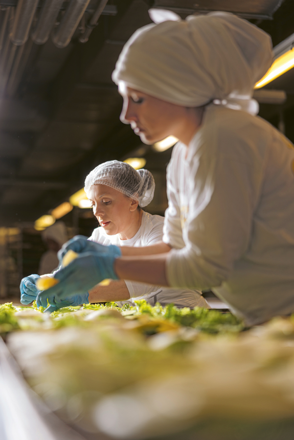 Zwei Arbeiter in weißen Uniformen und mit Haarbedeckung bereiten Lebensmittel zu, indem sie Salat und andere Zutaten auf einer langen Theke in einer Großküche anordnen.