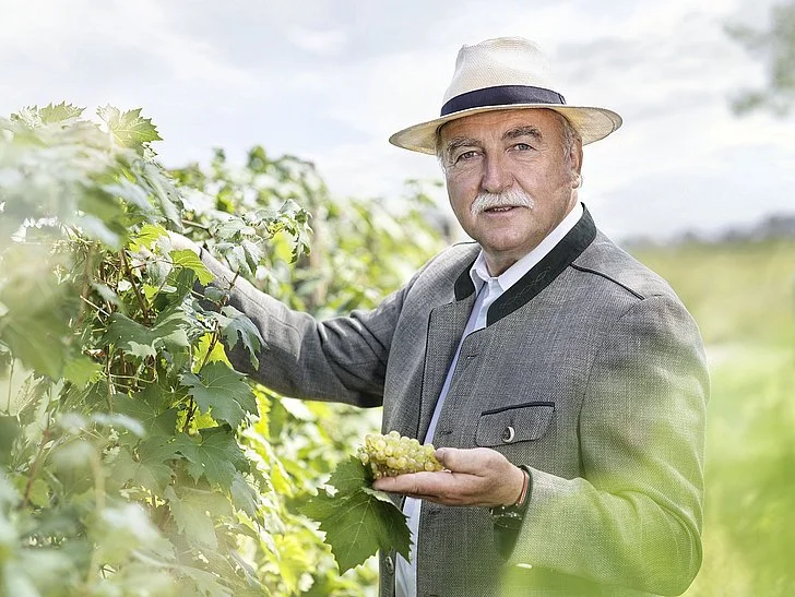 Ein älterer Mann in grauer Jacke und Hut steht an einem sonnigen Tag inmitten von Weinreben, hält eine Traube grüner Weintrauben in der Hand und schaut in die Kamera.